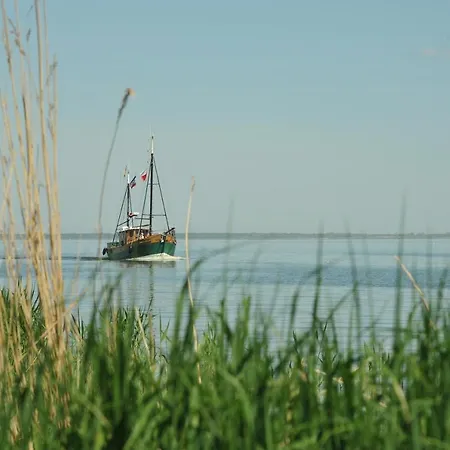 Ostsee-ferienhaus Im Gruenen Tatil Evi *
