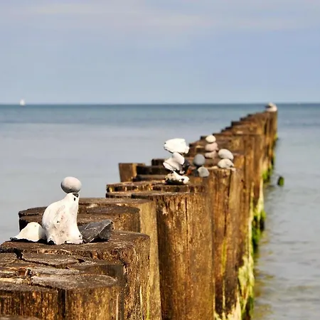 Ostsee-ferienhaus Im Gruenen Klockenhagen