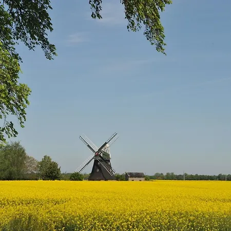 Ostsee-ferienhaus Im Gruenen *