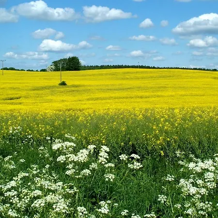 Ostsee-ferienhaus Im Gruenen *