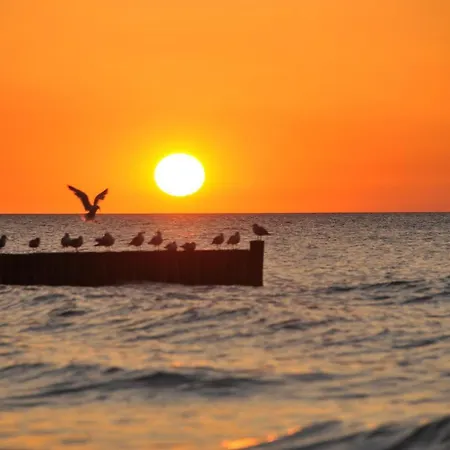 Ostsee-ferienhaus Im Gruenen * Klockenhagen