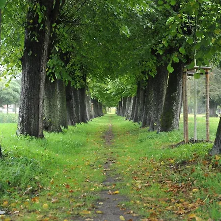 Σπίτι διακοπών Ostsee-ferienhaus Im Gruenen