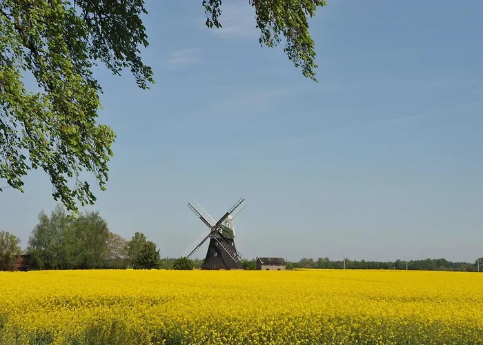 Ostsee-ferienhaus Im Gruenen *