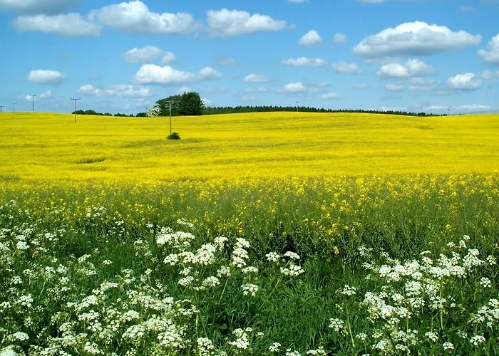Ostsee-ferienhaus Im Gruenen *