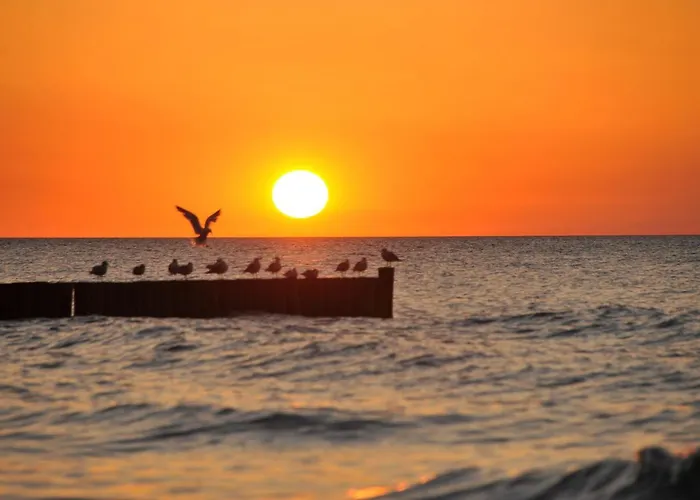 Ostsee-ferienhaus Im Gruenen * Klockenhagen