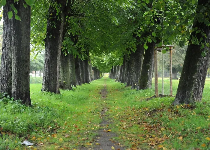 別荘 Ostsee-ferienhaus Im Gruenen